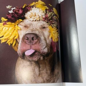 Sophie gamand pitbull flower power hardcover book